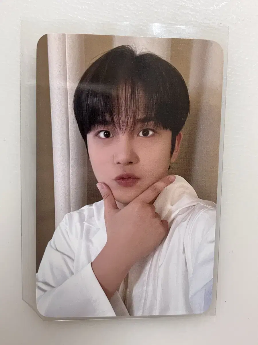 에이티즈 종호 포카